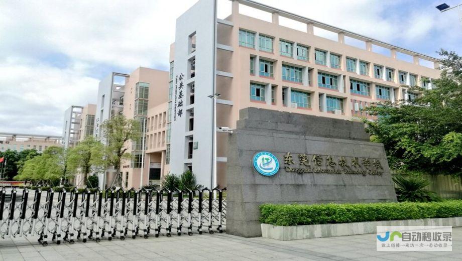 东莞专业网络公司:提供全方位互联网解决方案,满足企业多元化需求